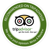 Cool rides recomended on trip advisor 